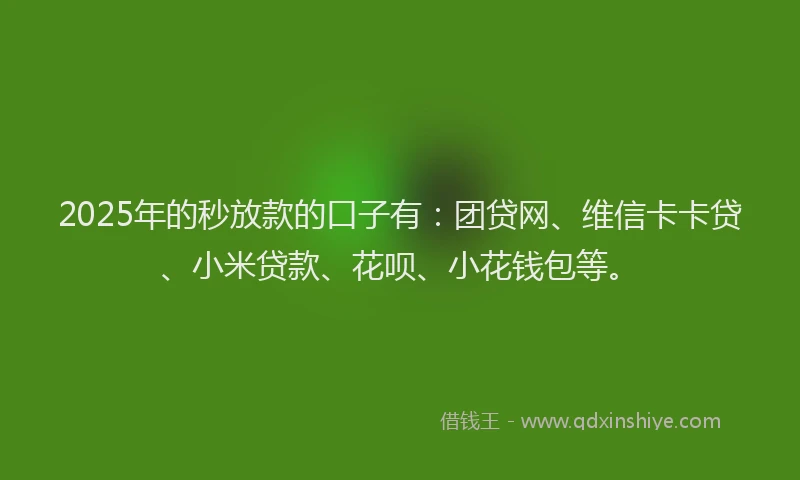 2025年的秒放款的口子有：团贷网、维信卡卡贷、小米贷款、花呗、小花钱包等。