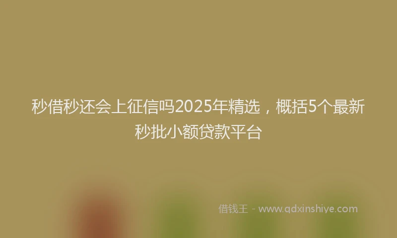秒借秒还会上征信吗2025年精选，概括5个最新秒批小额贷款平台