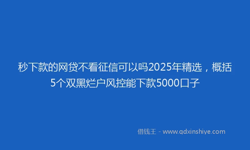 秒下款的网贷不看征信可以吗2025年精选，概括5个双黑烂户风控能下款5000口子