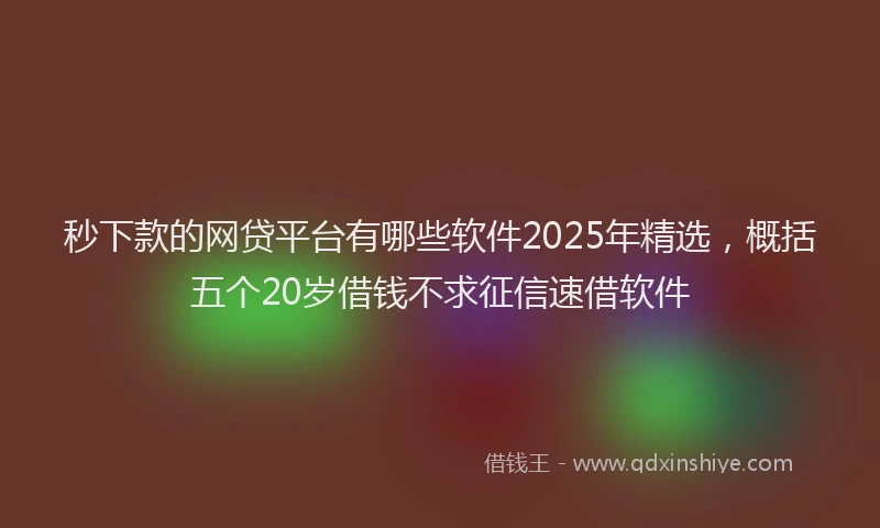 秒下款的网贷平台有哪些软件2025年精选，概括五个20岁借钱不求征信速借软件