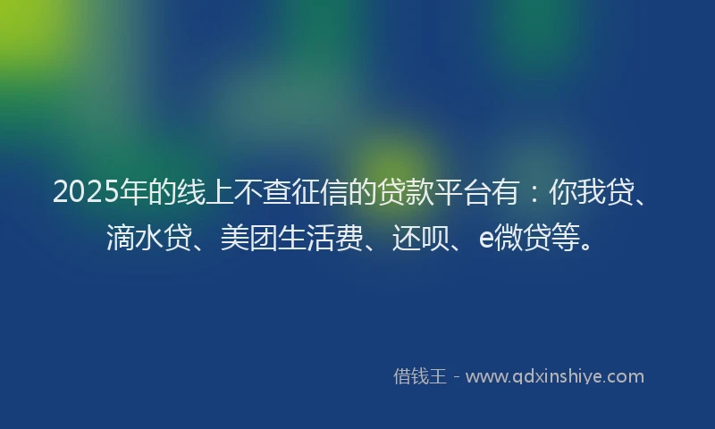 2025年的线上不查征信的贷款平台有：你我贷、滴水贷、美团生活费、还呗、e微贷等。