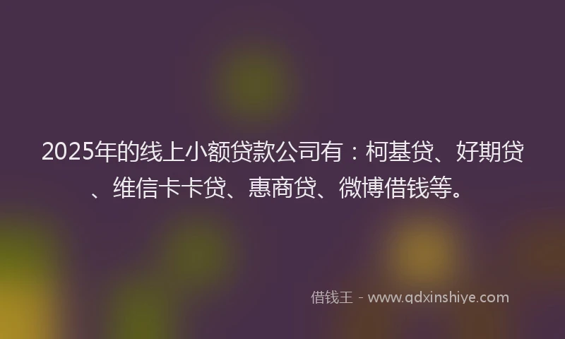 2025年的线上小额贷款公司有：柯基贷、好期贷、维信卡卡贷、惠商贷、微博借钱等。