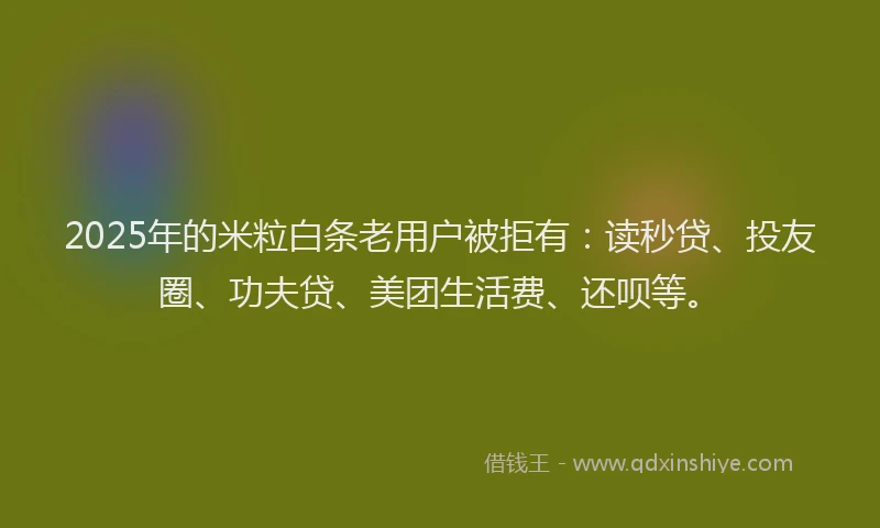 2025年的米粒白条老用户被拒有：读秒贷、投友圈、功夫贷、美团生活费、还呗等。
