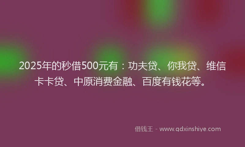 2025年的秒借500元有：功夫贷、你我贷、维信卡卡贷、中原消费金融、百度有钱花等。
