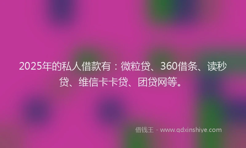 2025年的私人借款有：微粒贷、360借条、读秒贷、维信卡卡贷、团贷网等。
