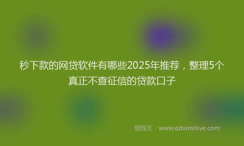 秒下款的网贷软件有哪些2025年推荐，整理5个真正不查征信的贷款口子