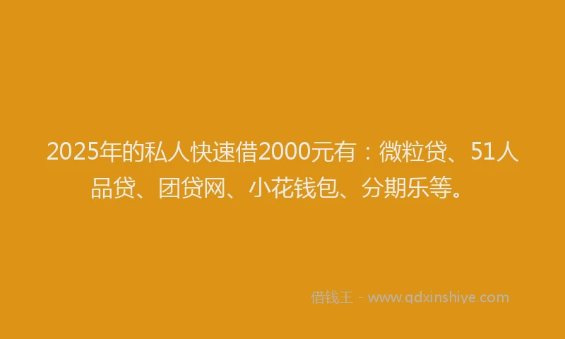 2025年的私人快速借2000元有：微粒贷、51人品贷、团贷网、小花钱包、分期乐等。