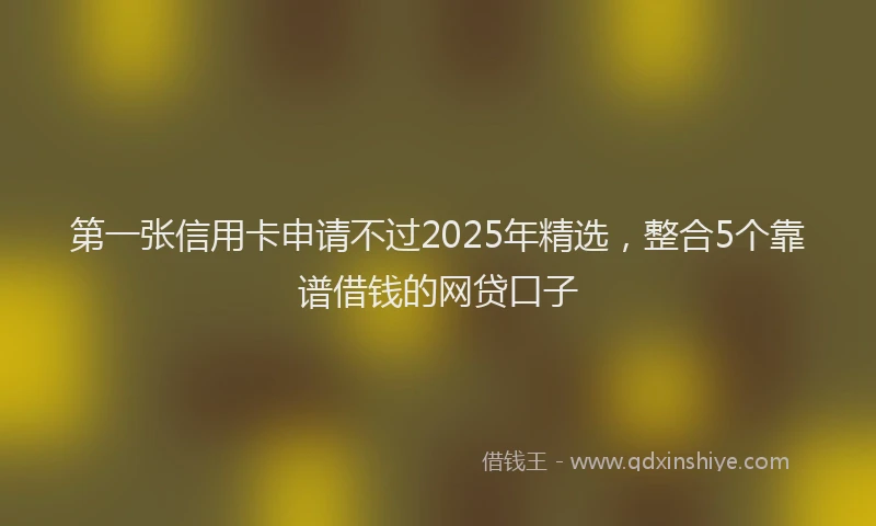 第一张信用卡申请不过2025年精选，整合5个靠谱借钱的网贷口子