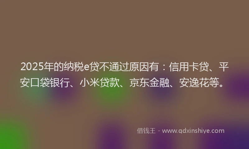 2025年的纳税e贷不通过原因有：信用卡贷、平安口袋银行、小米贷款、京东金融、安逸花等。