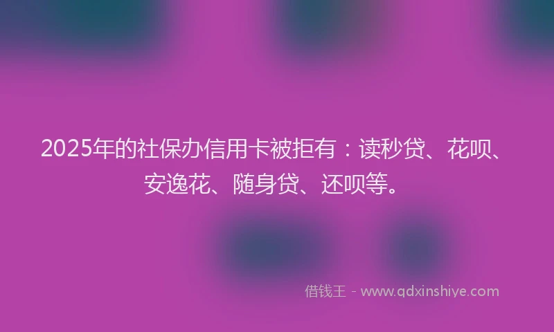 2025年的社保办信用卡被拒有：读秒贷、花呗、安逸花、随身贷、还呗等。