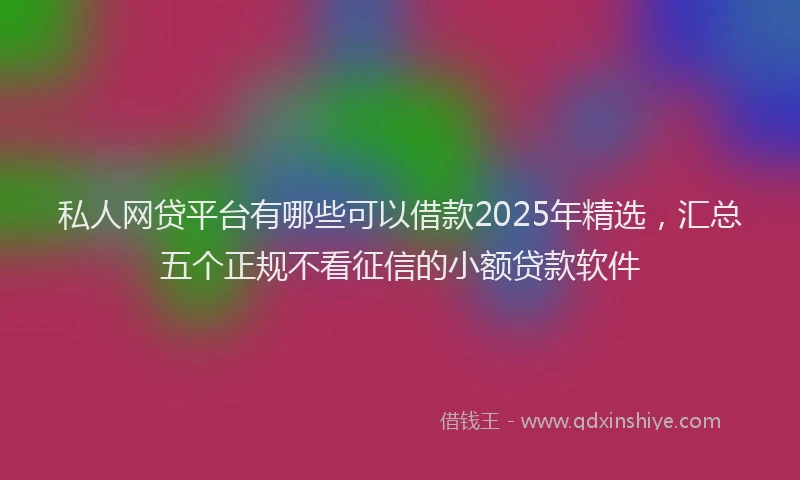 私人网贷平台有哪些可以借款2025年精选，汇总五个正规不看征信的小额贷款软件