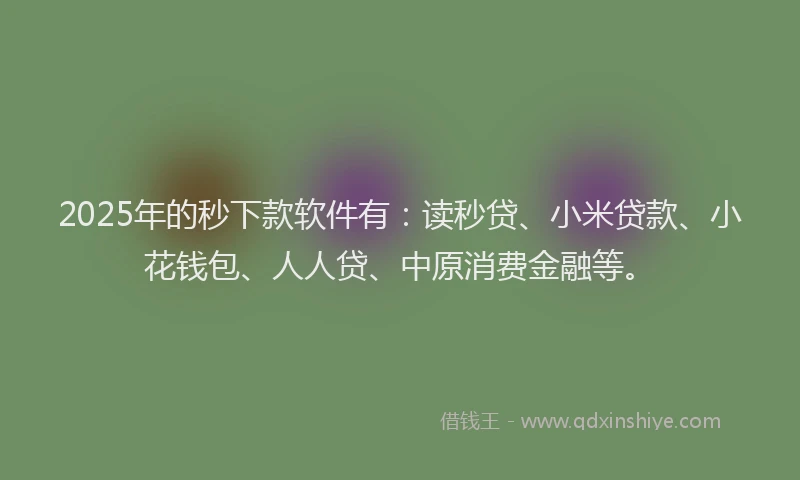 2025年的秒下款软件有：读秒贷、小米贷款、小花钱包、人人贷、中原消费金融等。