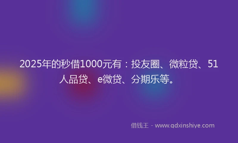 2025年的秒借1000元有：投友圈、微粒贷、51人品贷、e微贷、分期乐等。