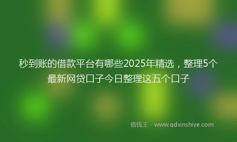 秒到账的借款平台有哪些2025年精选，整理5个最新网贷口子今日整理这五个口子