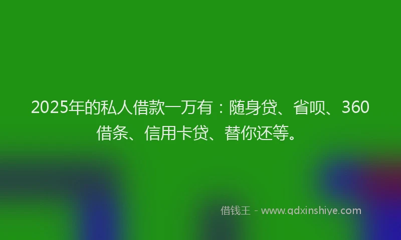 2025年的私人借款一万有：随身贷、省呗、360借条、信用卡贷、替你还等。