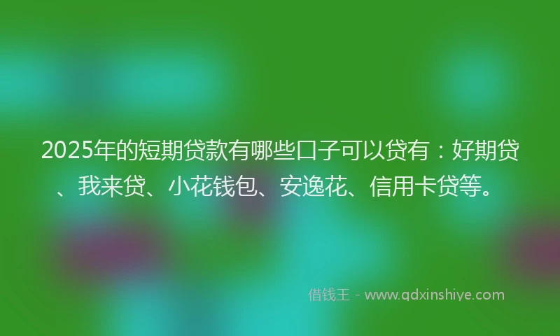 2025年的短期贷款有哪些口子可以贷有：好期贷、我来贷、小花钱包、安逸花、信用卡贷等。