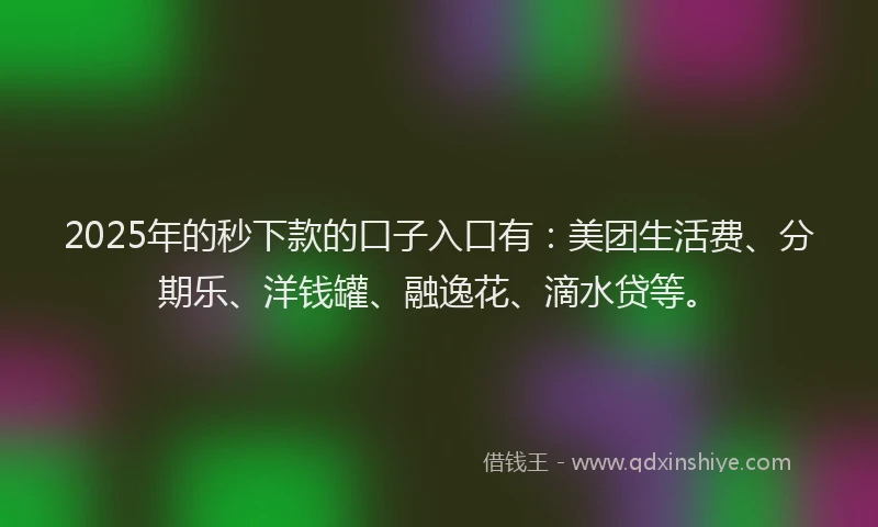 2025年的秒下款的口子入口有：美团生活费、分期乐、洋钱罐、融逸花、滴水贷等。
