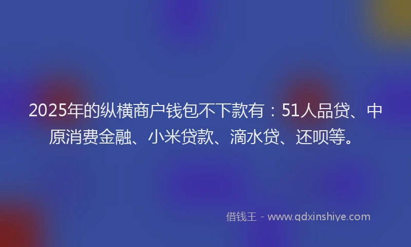 2025年的纵横商户钱包不下款有：51人品贷、中原消费金融、小米贷款、滴水贷、还呗等。