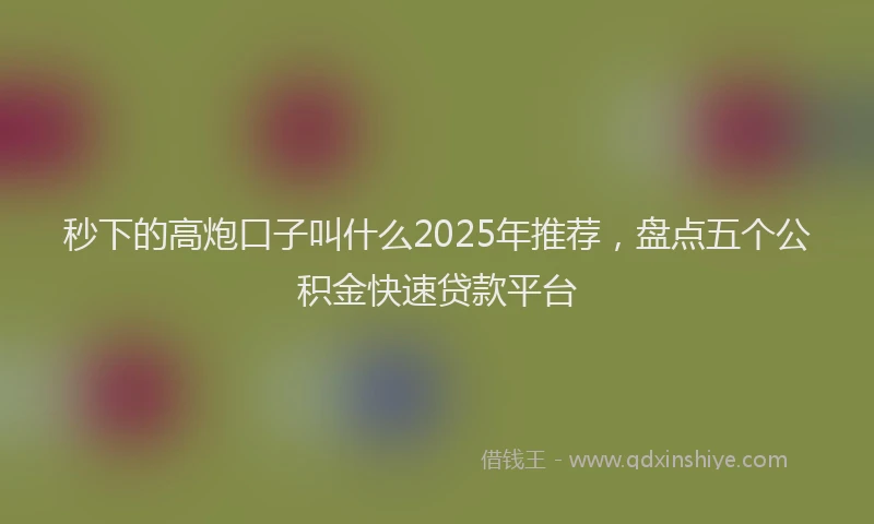 秒下的高炮口子叫什么2025年推荐，盘点五个公积金快速贷款平台