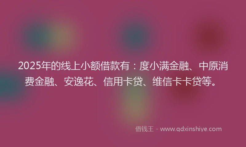 2025年的线上小额借款有：度小满金融、中原消费金融、安逸花、信用卡贷、维信卡卡贷等。