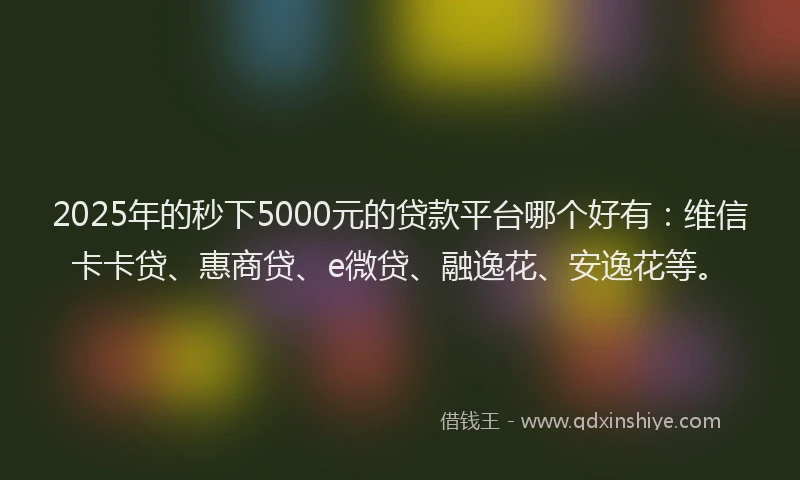2025年的秒下5000元的贷款平台哪个好有：维信卡卡贷、惠商贷、e微贷、融逸花、安逸花等。