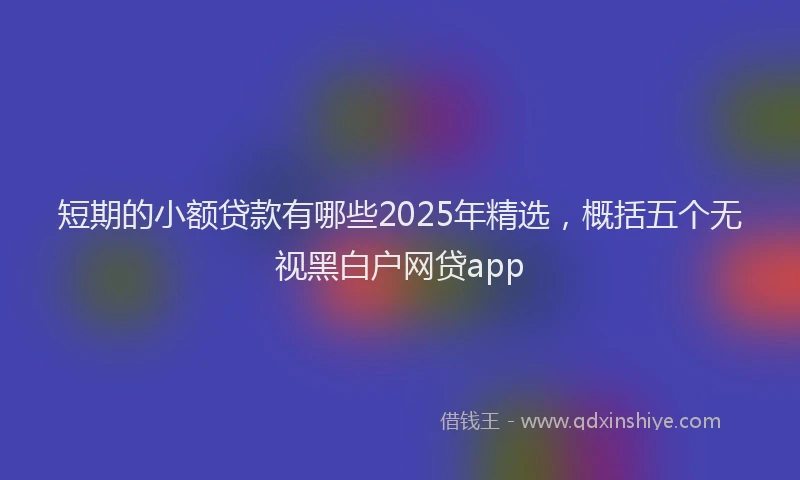 短期的小额贷款有哪些2025年精选，概括五个无视黑白户网贷app