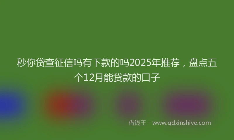 秒你贷查征信吗有下款的吗2025年推荐，盘点五个12月能贷款的口子
