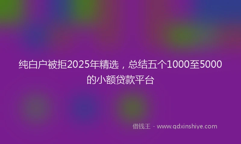 纯白户被拒2025年精选，总结五个1000至5000的小额贷款平台