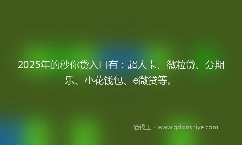 2025年的秒你贷入口有：超人卡、微粒贷、分期乐、小花钱包、e微贷等。
