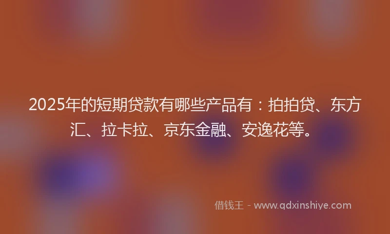 2025年的短期贷款有哪些产品有：拍拍贷、东方汇、拉卡拉、京东金融、安逸花等。