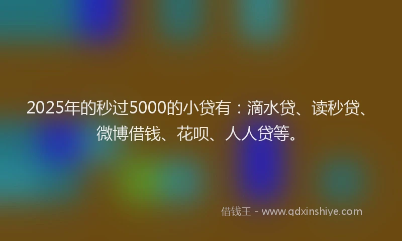 2025年的秒过5000的小贷有：滴水贷、读秒贷、微博借钱、花呗、人人贷等。