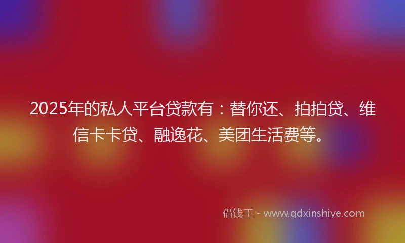 2025年的私人平台贷款有：替你还、拍拍贷、维信卡卡贷、融逸花、美团生活费等。