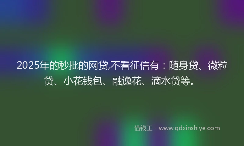 2025年的秒批的网贷,不看征信有：随身贷、微粒贷、小花钱包、融逸花、滴水贷等。