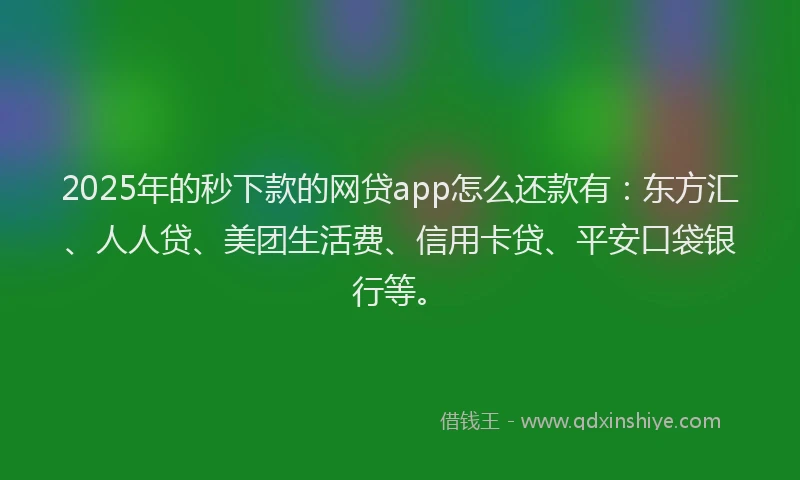 2025年的秒下款的网贷app怎么还款有：东方汇、人人贷、美团生活费、信用卡贷、平安口袋银行等。