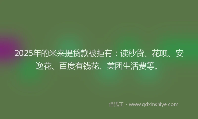 2025年的米来提贷款被拒有：读秒贷、花呗、安逸花、百度有钱花、美团生活费等。