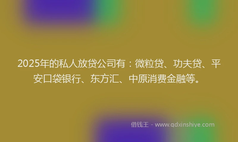 2025年的私人放贷公司有：微粒贷、功夫贷、平安口袋银行、东方汇、中原消费金融等。