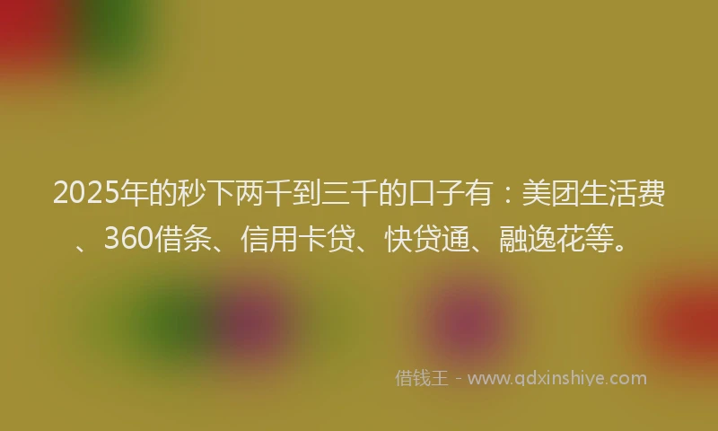 2025年的秒下两千到三千的口子有：美团生活费、360借条、信用卡贷、快贷通、融逸花等。
