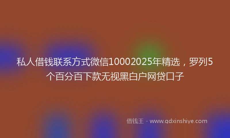 私人借钱联系方式微信10002025年精选，罗列5个百分百下款无视黑白户网贷口子