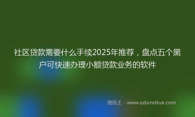 社区贷款需要什么手续2025年推荐，盘点五个黑户可快速办理小额贷款业务的软件