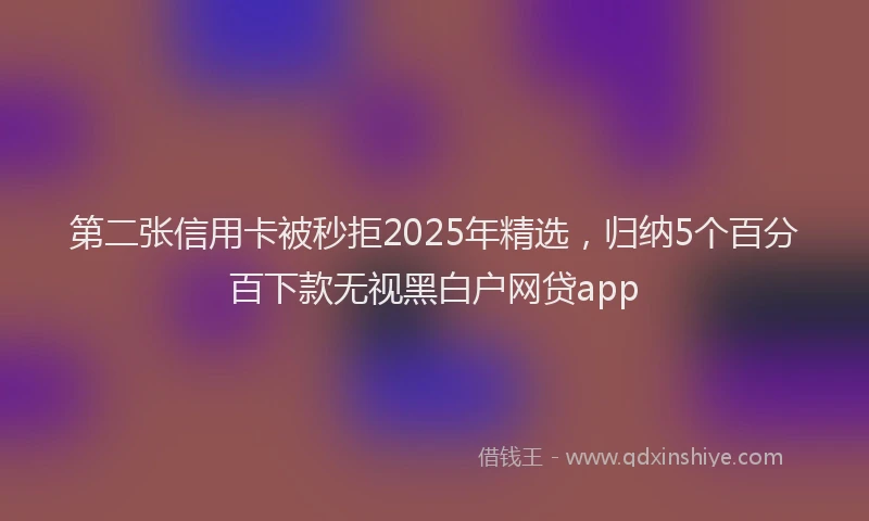 第二张信用卡被秒拒2025年精选，归纳5个百分百下款无视黑白户网贷app