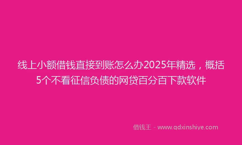 线上小额借钱直接到账怎么办2025年精选，概括5个不看征信负债的网贷百分百下款软件