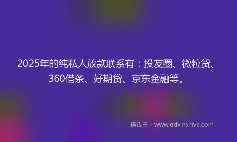 2025年的纯私人放款联系有：投友圈、微粒贷、360借条、好期贷、京东金融等。