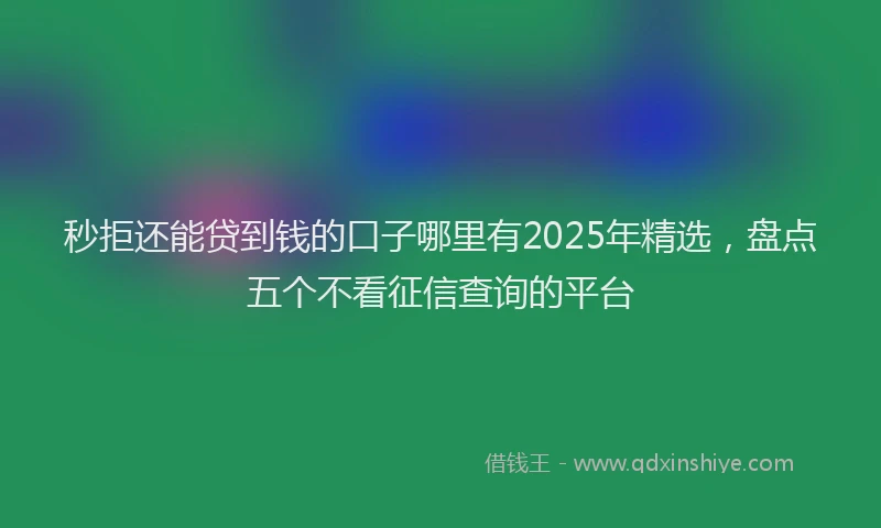秒拒还能贷到钱的口子哪里有2025年精选，盘点五个不看征信查询的平台