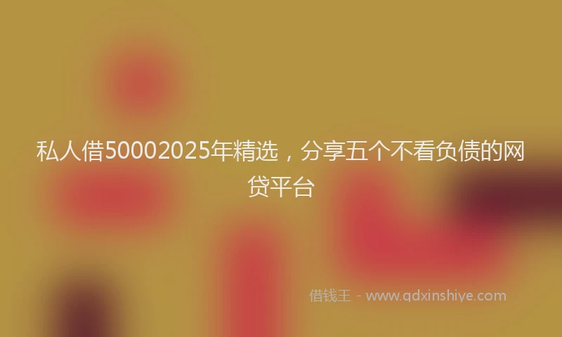 私人借50002025年精选，分享五个不看负债的网贷平台