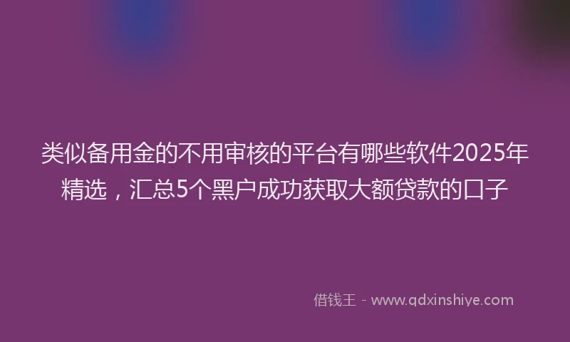 类似备用金的不用审核的平台有哪些软件2025年精选，汇总5个黑户成功获取大额贷款的口子