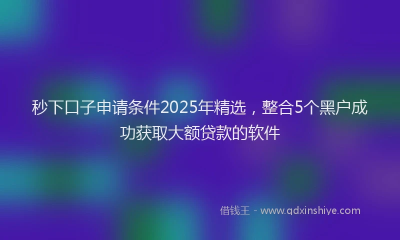 秒下口子申请条件2025年精选，整合5个黑户成功获取大额贷款的软件