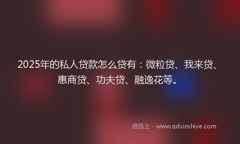 2025年的私人贷款怎么贷有：微粒贷、我来贷、惠商贷、功夫贷、融逸花等。
