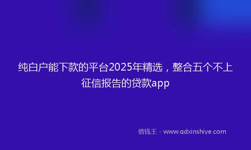 纯白户能下款的平台2025年精选，整合五个不上征信报告的贷款app