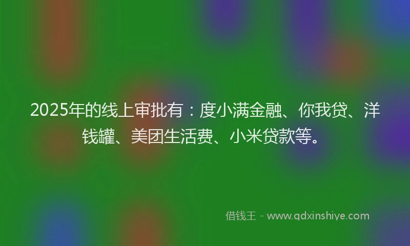 2025年的线上审批有：度小满金融、你我贷、洋钱罐、美团生活费、小米贷款等。