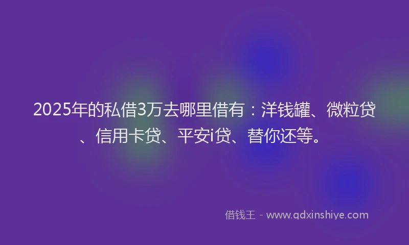 2025年的私借3万去哪里借有：洋钱罐、微粒贷、信用卡贷、平安i贷、替你还等。